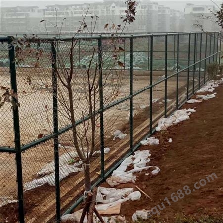 河南运动场球场围网 篮球场勾花网 墨绿色体育场可装卸式护栏网