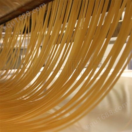 马铃薯粉条机工厂 自动化粉条机原理 开封丽星 绿豆粉条机生产线