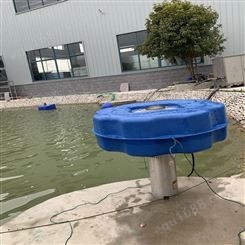 贵州人工湖喷泉曝气器 污水处理设备 水质净化机