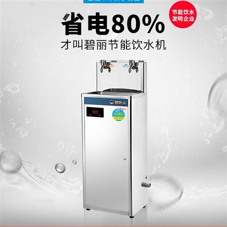 工厂饮水机不锈钢节能温热型立式带过滤净水直饮机50人用饮水机
