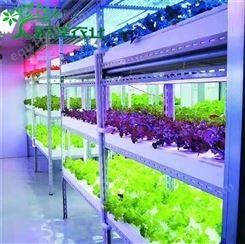 时泽农业 专业高照度气候室 全周期果蔬培育种植智慧植物工厂