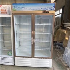 特锐德 多功能 高透明玻璃展示柜 超市立式冷藏柜饮料