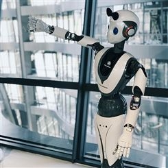 广西本地现货XR-1迎宾机器人 展厅讲解机器人