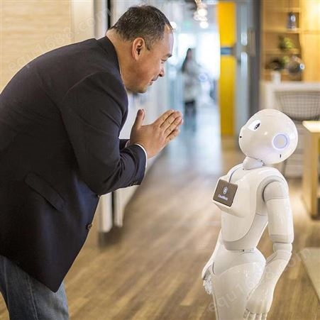 河北本地智能机器人租赁天租迎宾接待机器人