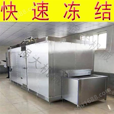 【箱式】食品通用速冻设备 草莓速冻机