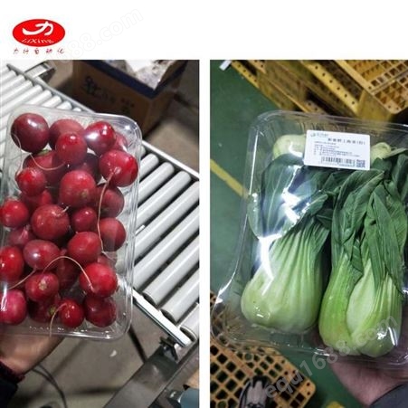 生鲜商超保鲜膜包装机 全自动水果蔬菜包装设备