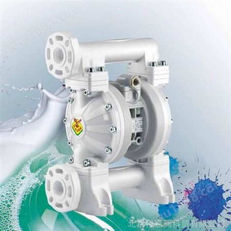 意大利RAASM隔膜泵2B3/16117NH5泵60L/min大流量输送泵