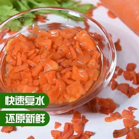 质善天然优质食品级AD烘干蔬菜散装脱水胡萝卜粒