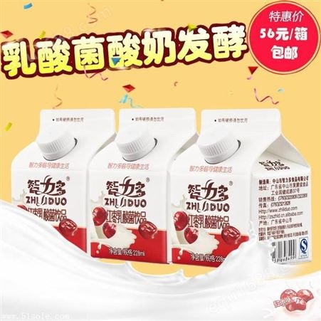 中山智力多美味健康238G原味酸奶采购乳酸菌饮料代理