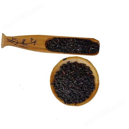 农家自产黑米 五谷香 散装紫米粗粮 量大优惠