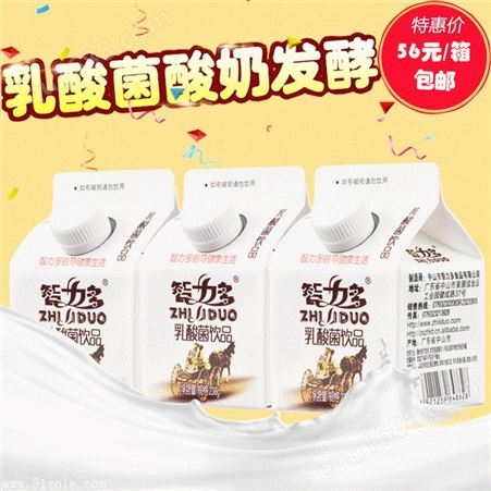 中山智力多美味健康238G原味酸奶采购乳酸菌饮料代理