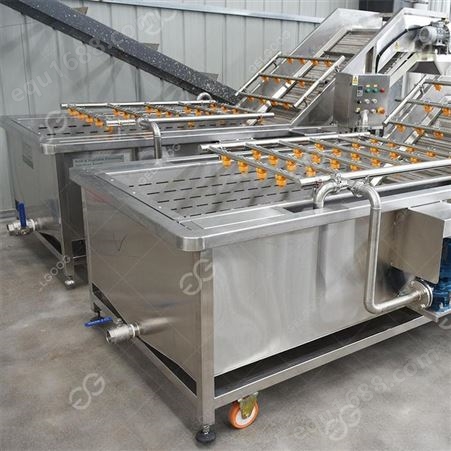杰尔古格 连续式清洗机 适用于果蔬加工企业 草莓清洗机