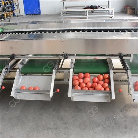 全自动水果分选机 中大型水果分级设备 杰尔古格