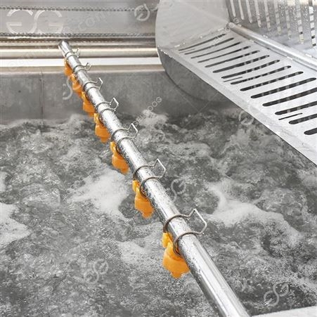 杰尔古格 水果清洗选果生产线 全自动净果流水线设备