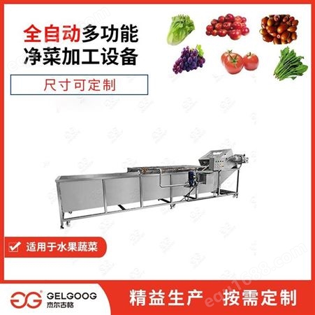 杰尔古格 商用自动洗蔬菜设备 厨房全自动洗豆芽机械 豆芽清洗机