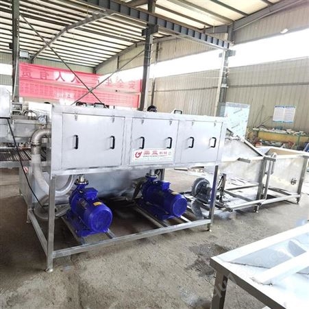 鼎益食品机械 厂家供应不锈钢毛刷清洗机 自动果蔬磨皮机 洗姜机