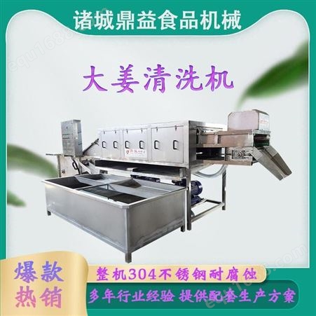 鼎益食品机械 定做生姜去杂清洗设备 苹果清洗流水线 蔬菜清洗机