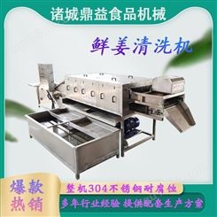 鼎益食品机械 生产大姜清洗机 全自动毛刷清洗设备 土豆去皮机