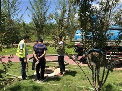 天津清理污水池 施工经验丰富 24小时服务