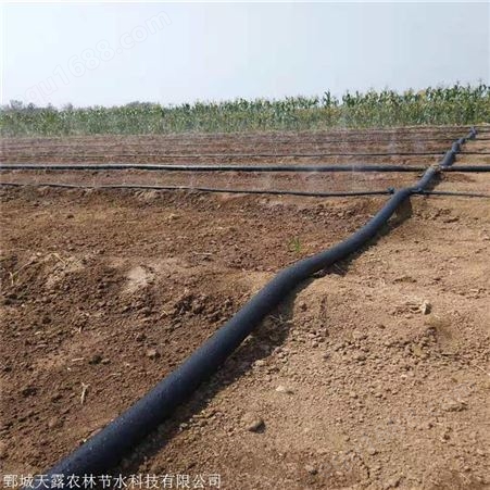 江西赣州灌溉设备 农业蔬菜微喷带