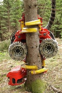 包头小松伐木机-智造大观 伐树机