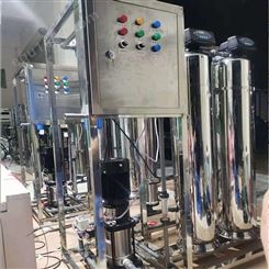 绿饮LY-1T 食品厂用净水设备 饮料工厂净水系统 水处理设备