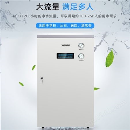 四川祁禧商用净水机销售 CXS-R800（801）批发价格上门安装