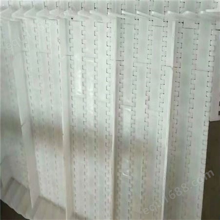 塑料链板供应 耐高温塑料网带 塑料网带