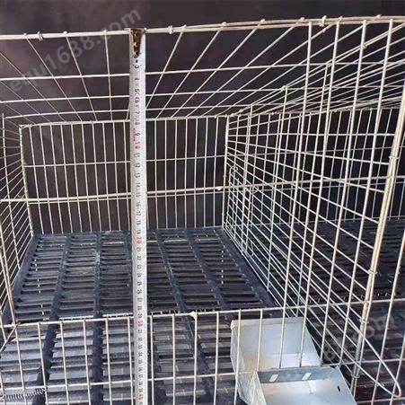子母兔笼批发 肉兔笼 种兔笼厂家定制 阶梯式母兔笼