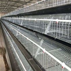 蛋鸡育雏笼 镀锌鸡笼厂家 养殖笼具 鸡笼子批发定制