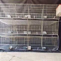 子母兔笼批发 肉兔笼 种兔笼厂家定制 阶梯式母兔笼