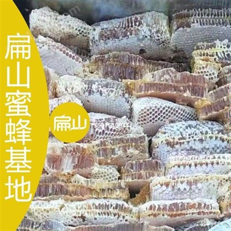 广东蜂蜜养殖技术培训基地 梅县东莞惠州野生土蜂巢蜜格子蜜