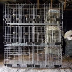 工厂 鸽子笼 家鸽笼 肉鸽笼 养殖铁丝笼 广旺笼具