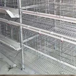厂家 加密型兔笼批发 养殖场用母兔笼 种兔笼订购