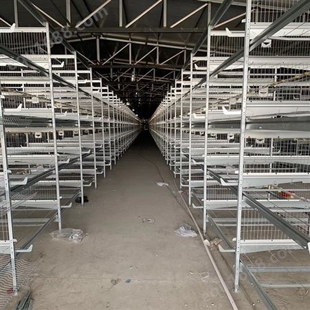 五门镀锌鸡笼厂家 养殖场蛋鸡笼 养鸡笼养设备 批发订购