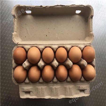 12枚鸡蛋保护托-卓尔纸塑-热压纸托-出售