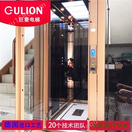 小型电梯家用 室内载人垂直提升机Gulion/巨菱