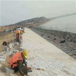 济宁嘉元工贸河道护坡砖支持定制欢迎咨询了解