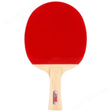 红双喜DHS乒乓球拍 横直套装2拍 1球Ⅲ型乒乓球拍