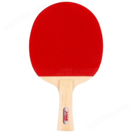 红双喜DHS乒乓球拍 横直套装2拍 1球Ⅲ型乒乓球拍