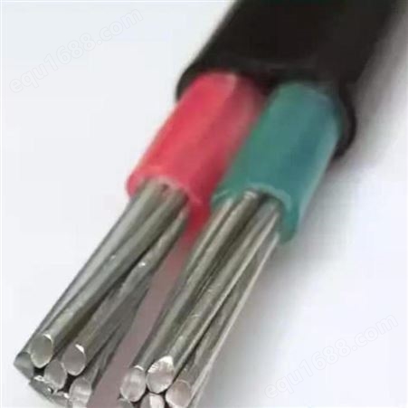  弘泰线缆有限公司 一枝秀 户外电线电缆防老化电缆双层皮铝芯电缆2*10