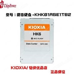 KIOXIA/铠侠 固态硬盘KHK61RSE1T92 1920GB 2021+