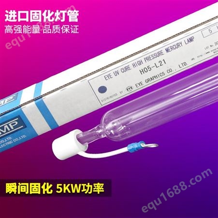 H05-L21 日本EYE岩崎紫外线UV固化灯 UV胶树脂管厂家