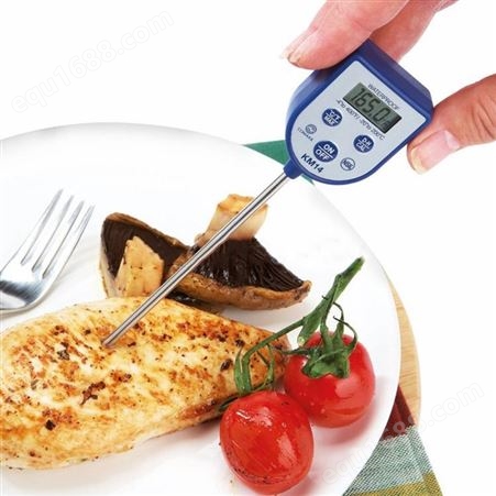 福禄克/FLUKE食品温度计 电子温度计