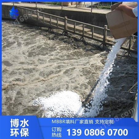 四川MBBR填料 水方程流化床填料 污水处理材料
