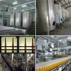河南供应 石榴汁饮料生产线设备 香梨汁饮料加工设备 中意隆机械
