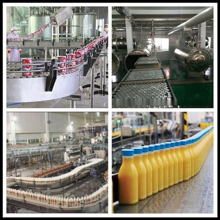 中国台湾 中小型凤梨饮料加工设备 鲜榨梨汁饮料生产线整套设备 中意隆