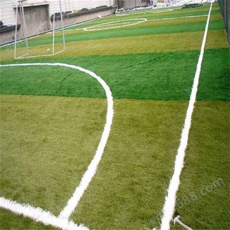 学校的足球场用人造草仿真门球场假休闲装饰草达创