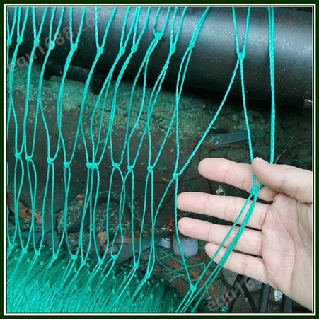 厂家批发定制各种网孔聚乙烯有结养殖网耐晒3-5年 家禽养殖围网