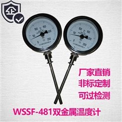 WSS-481F万向型双金属温度计防腐不锈钢316L衬四氟钛合金2205双相钢快卡法兰